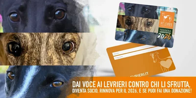 DAI VOCE AI LEVRIERI, UNISCITI A PET LEVRIERI E SOSTIENICI! DIVENTA SOCIO. RINNOVA IL PATTO PER I LEVRIERI!