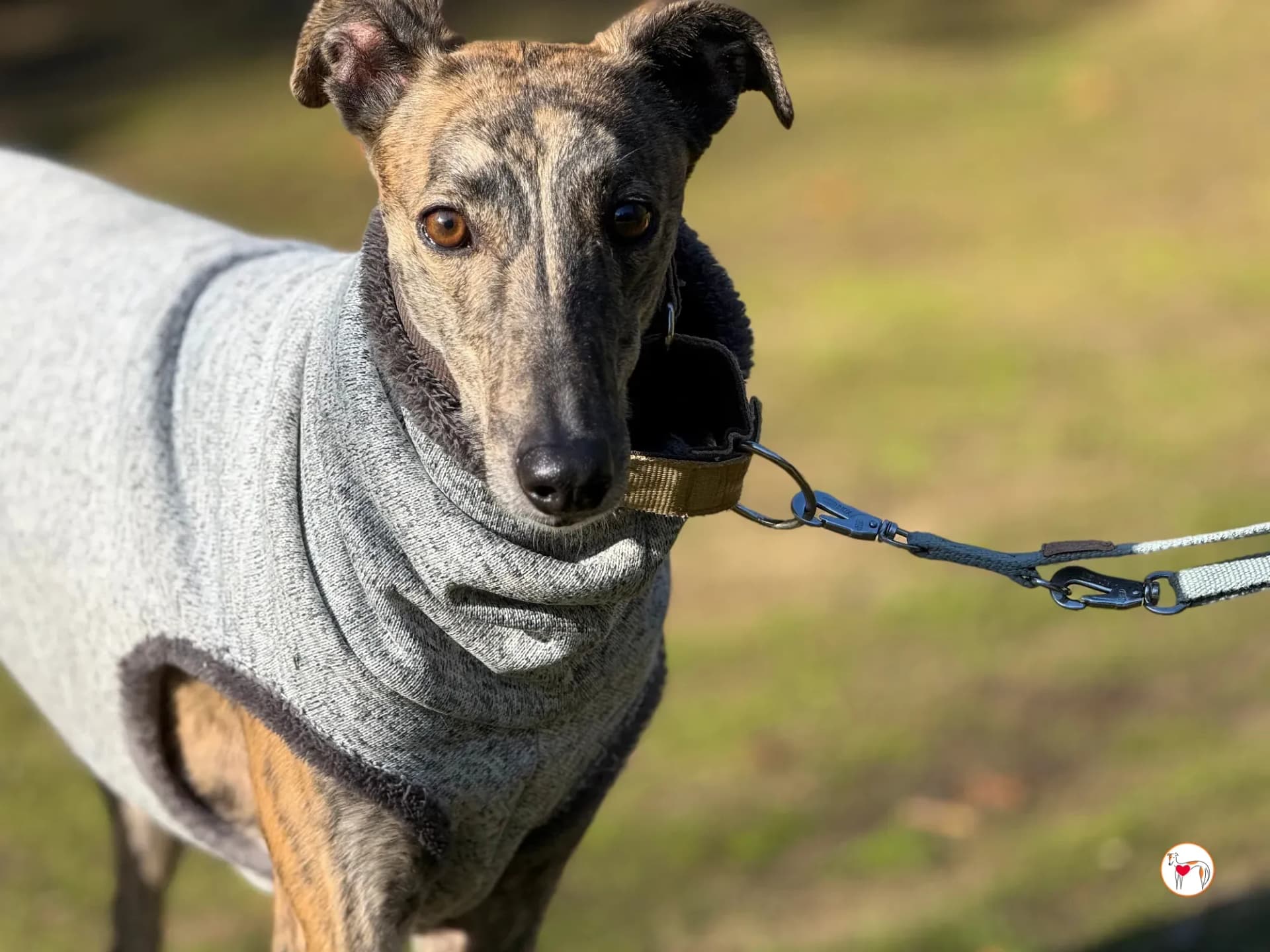 Ukiyo – In corso di adozione